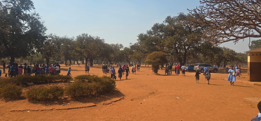Tree-lined school grounds